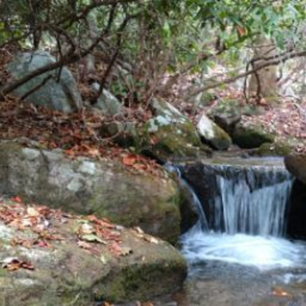 Meet your Posher, Lena